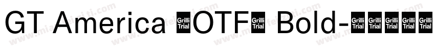 GT America (OTF) Bold字体转换